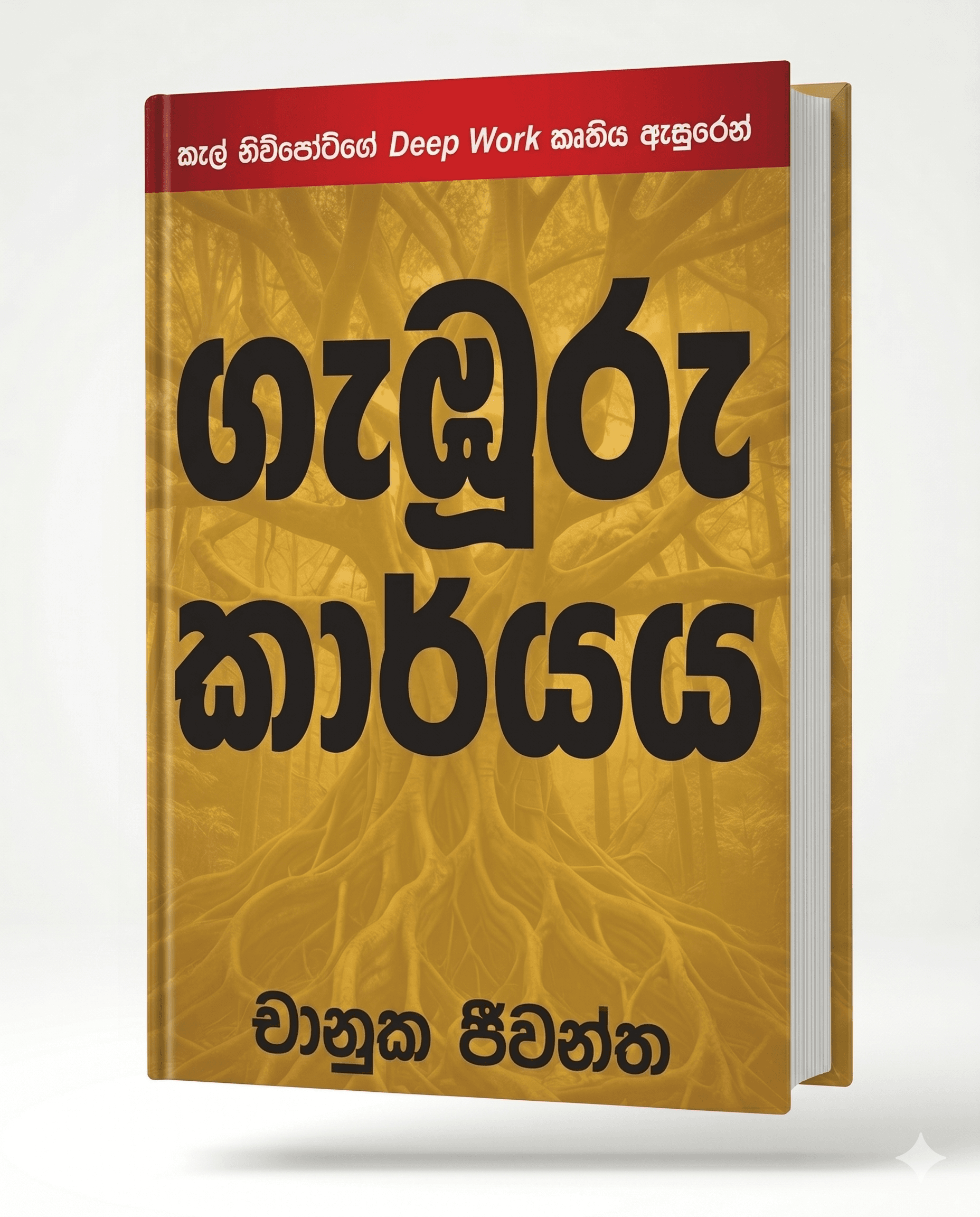 ගැඹුරු කාර්යය